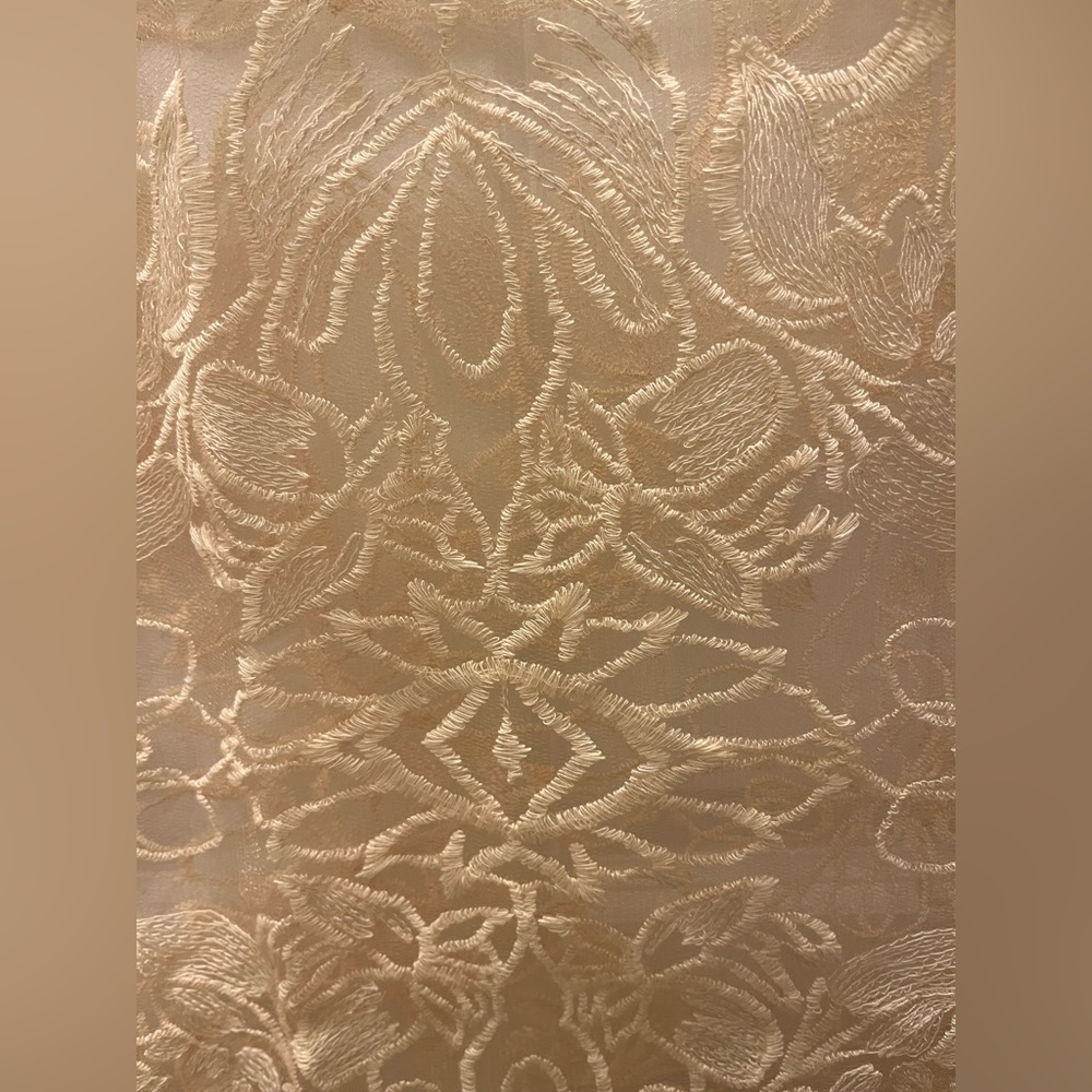 Anthropologie Sheer Embroidered Cream Midi Skirt - Picture 9 of 12